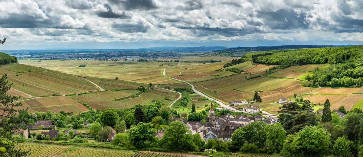 Vignoble de Chablis